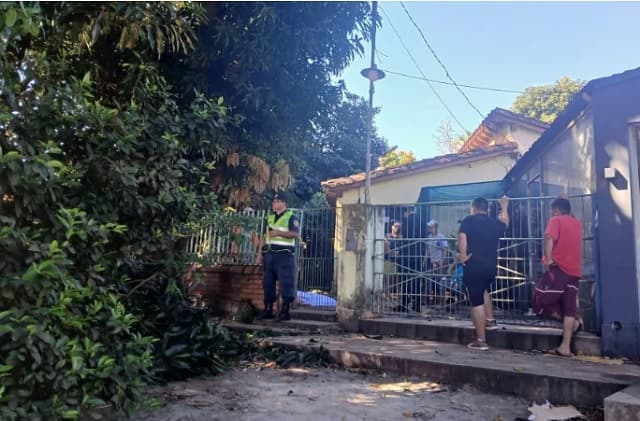 Jardinero fallece tras caer de un árbol en San Lorenzo