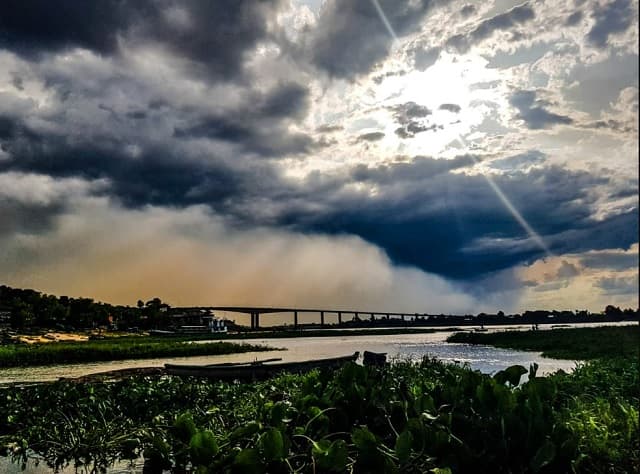 Día cálido con vientos del sur según Meteorología