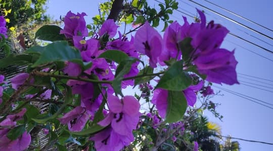 Jornada calurosa en todo el país con mínimas probabilidades de lluvia