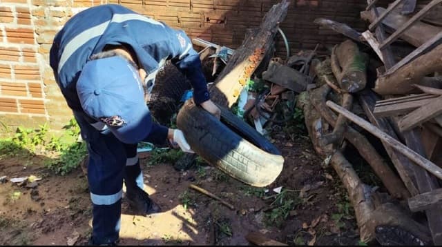 Incremento del dengue: 60 nuevos casos