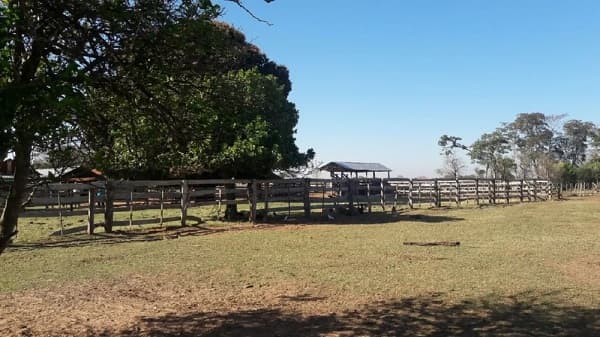 Presidente del Indert expone estafas a menonitas en el Chaco