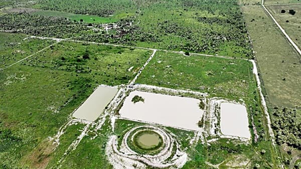 Humedales del Bajo Chaco: 300 hectáreas deforestadas por invasores
