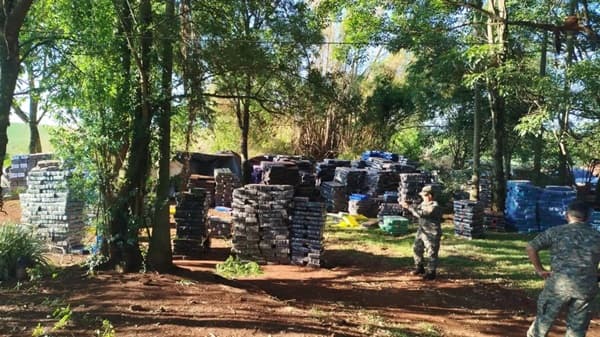 Incautan 48 toneladas de marihuana en mayor golpe al narcotráfico