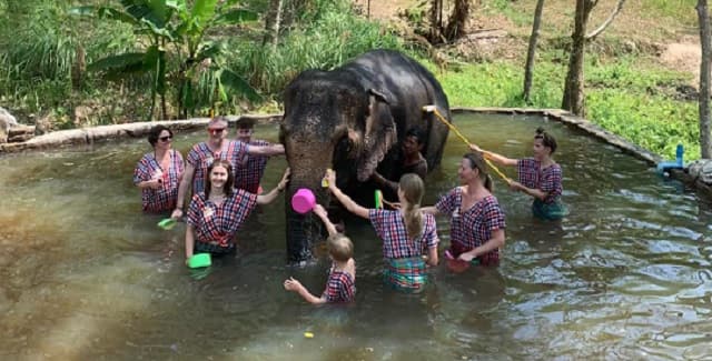 Fallece turista española tras ataque de elefante en Tailandia