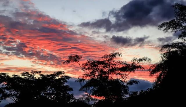Clima para hoy: de cálido a caluroso