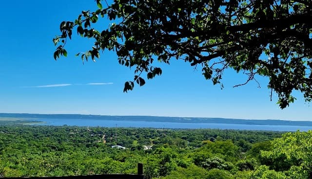 Día cálido con máximas de hasta 38 grados en todo el país