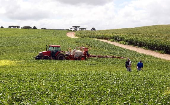 Producción de soja en riesgo por déficit de lluvias en el país