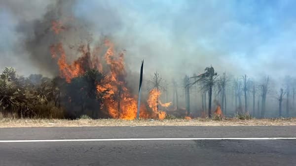 Nuevo incendio en ruta Luque-San Bernardino