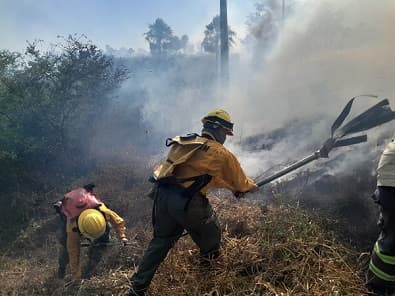 Incendios forestales amenazan múltiples regiones de Paraguay