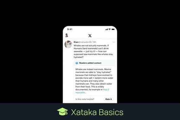 Guía completa: Notas de la comunidad en redes sociales