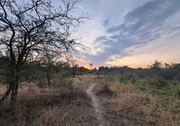 Fenómeno de La Niña será de corta duración y débil intensidad
