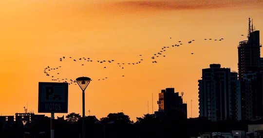 Clima caluroso dominará el fin de semana