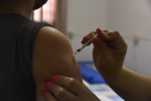 Alerta regional: cinco países reportan muertes por fiebre amarilla