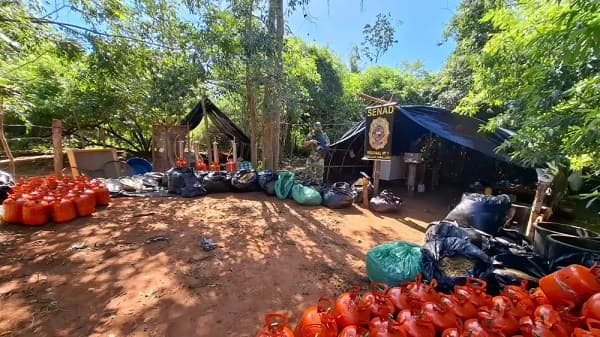 Senad y Fiscalía desmantelan laboratorio de marihuana en Capitán Bado