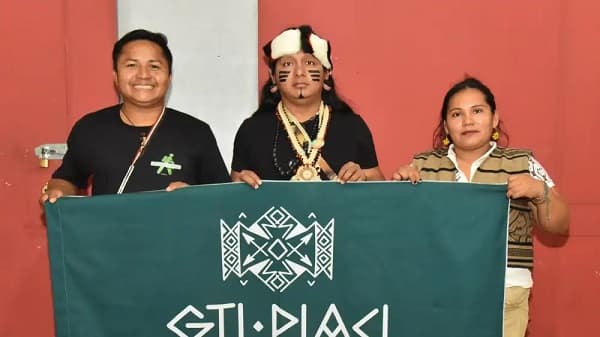 Denuncian reducción del territorio indígena y deforestación en el Chaco