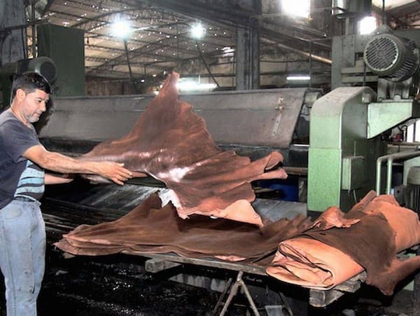 Paraguayan Leather Industry Thrives Despite Global Price Drop