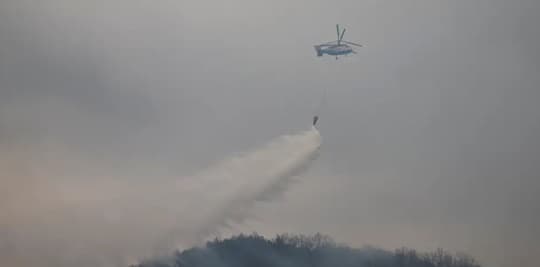 Rebrote de incendios en Corea del Sur tras control parcial