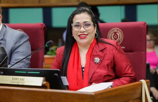 Senado exigirá al INE informe sobre contratación del hijo de Yamy Nal
