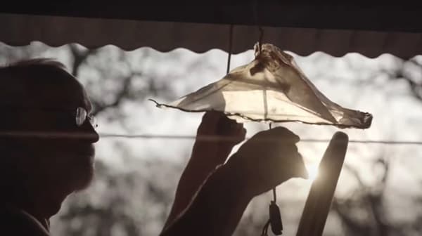 INAP abre convocatoria para Catálogo Audiovisual 2025-2026