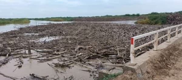 Desborde del Pilcomayo deja aislada a población de Pozo Hondo