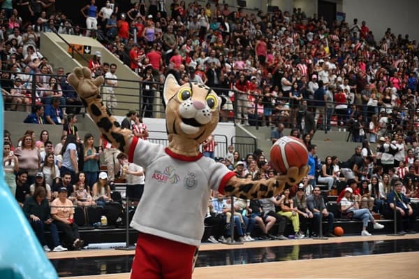 Paraguay impulsa el deporte internacional con nueva comisión organizadora