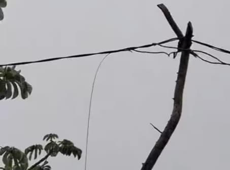 Padre e hijo fallecen electrocutados por cable caído en Hernandarias