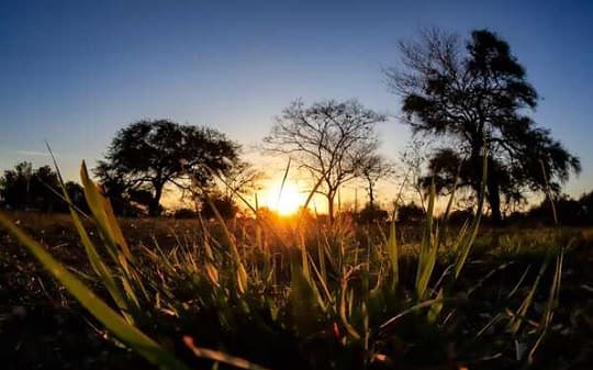 Lunes caluroso con leve descenso de temperatura