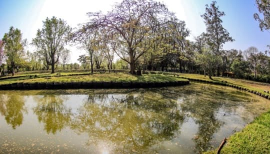 Domingo con cielo cubierto y ambiente cálido en gran parte del país