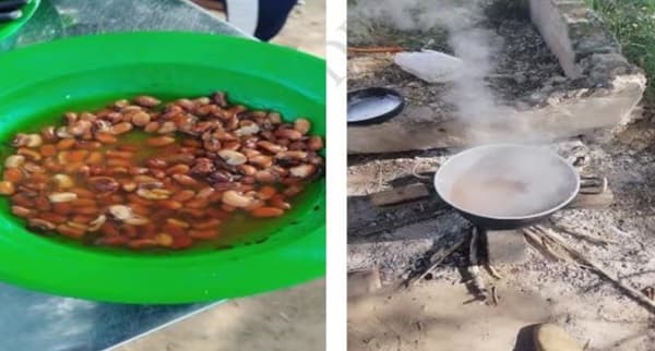 Contraloría revela graves fallas en Hambre Cero en escuelas indígenas