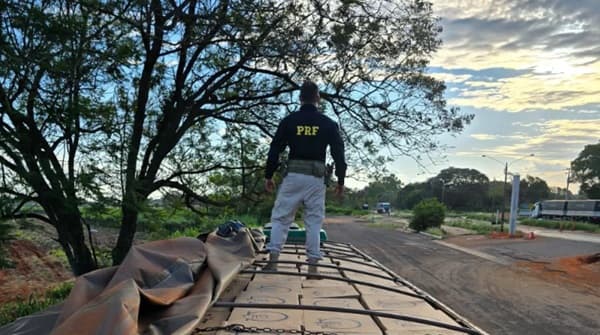 Camión paraguayo con carga ilegal de cigarrillos incautado en Brasil