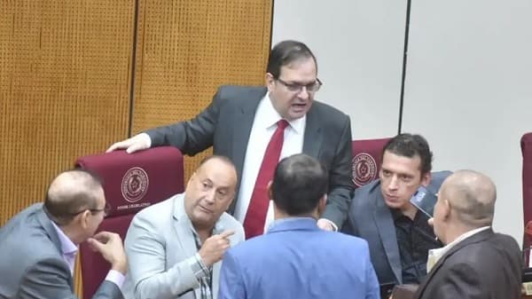 Disputa interna paraliza comisión sobre Anexo C de Itaipú