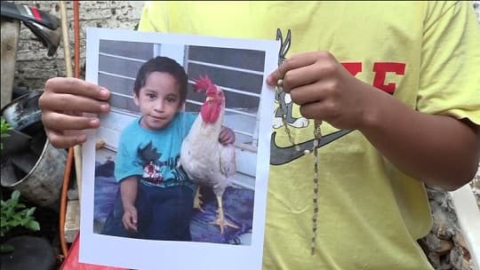 Un gallo para el Papa: la tierna historia de Ángel y su regalo