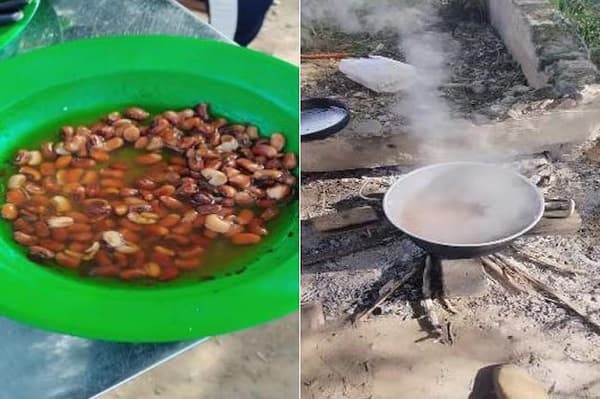 Gobernadores y MDS desoyen informe crítico sobre Hambre Cero