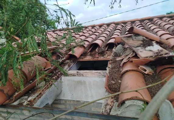 Roban casi 90 kilos de carne del programa Hambre Cero en escuela de Emboscada