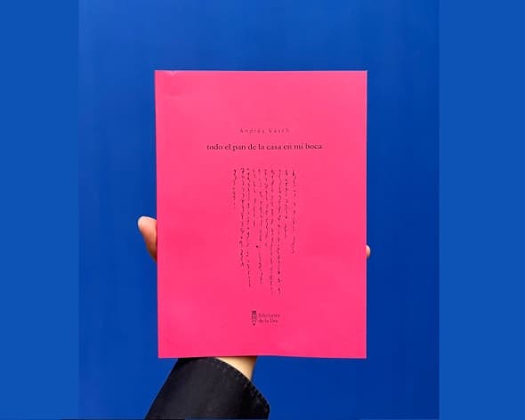 Presentan nuevo poemario de Andrés Vásch en Asunción