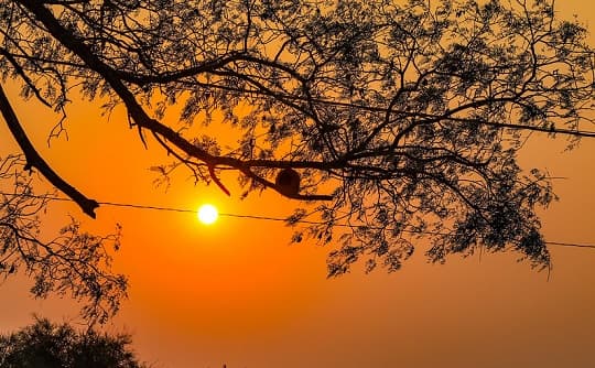 Viernes con clima fresco a cálido y lluvias puntuales en el país