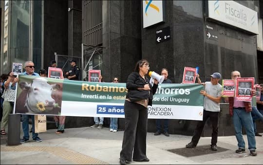 Estafa ganadera en Uruguay salpica a vinculados en Paraguay