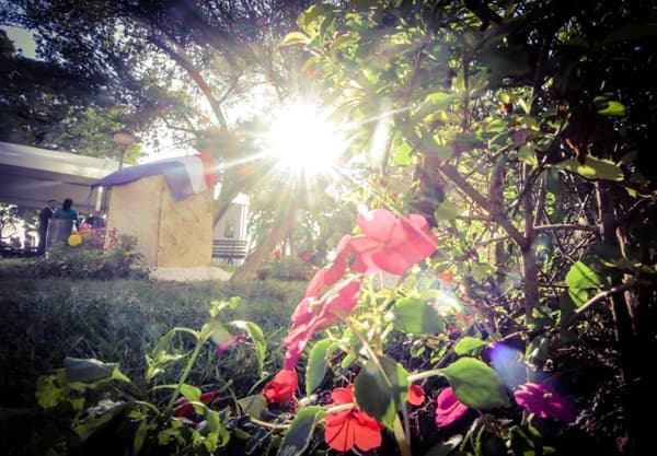 Clima fresco por las mañanas y cálido durante las tardes este fin de semana