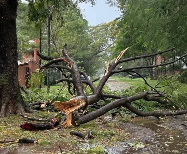 Temporal dañó 150 viviendas en Itapúa y Misiones