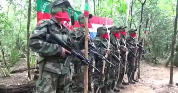 EPP debilitado: CODI confirma la existencia de una sola célula