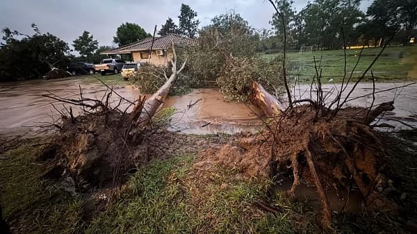 Tormenta deja destrozos y cortes de energía en Ñeembucú
