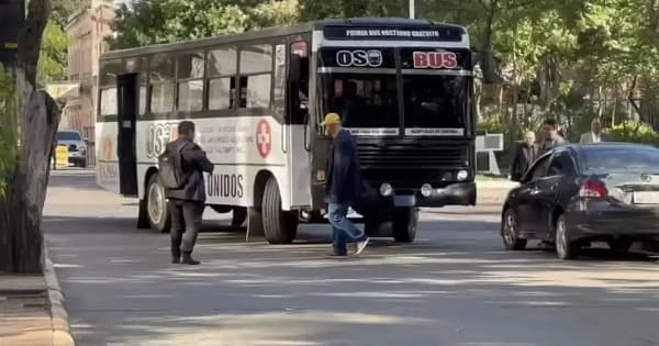 “Oso Bus” opera sin autorización del Viceministerio de Transporte
