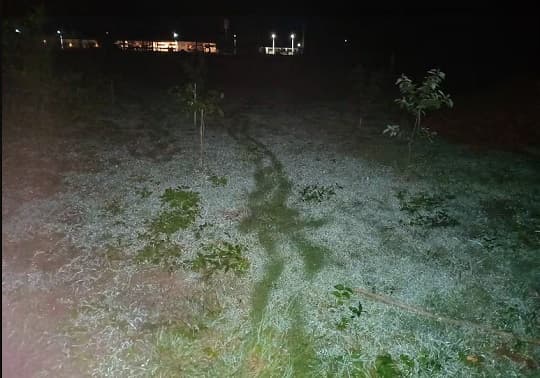 La helada se hizo sentir en distintas regiones del país