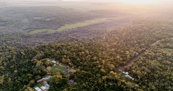 34 años del Bosque Mbaracayú, modelo de conservación