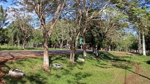 Cordillera: Convocan a sembrar 1.000 plantines nativos