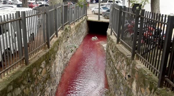 Arroyo Jaén se tiñe de rojo por químicos de imprenta
