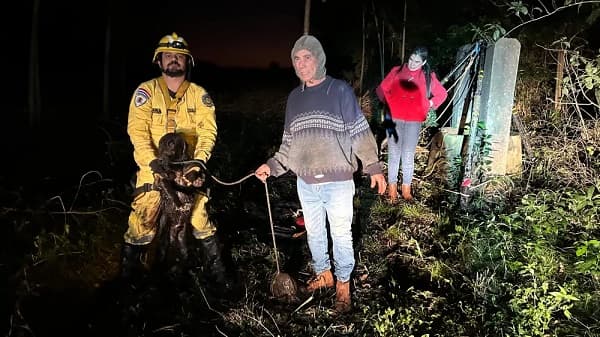 Bomberos rescatan a perro de pozo en Minga Guazú