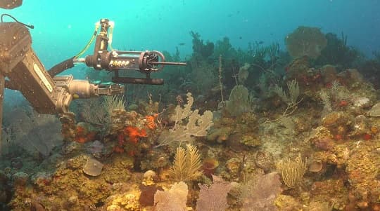 Científicos argentinos documentan una misión histórica en las profundidades del océano