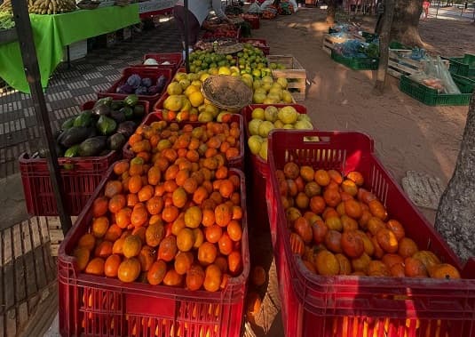 Feria agroecológica este sábado en Plaza Italia