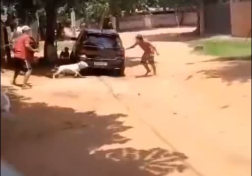 En Capiatá, un pitbull enfrentó a adictos armados ante la ausencia policial